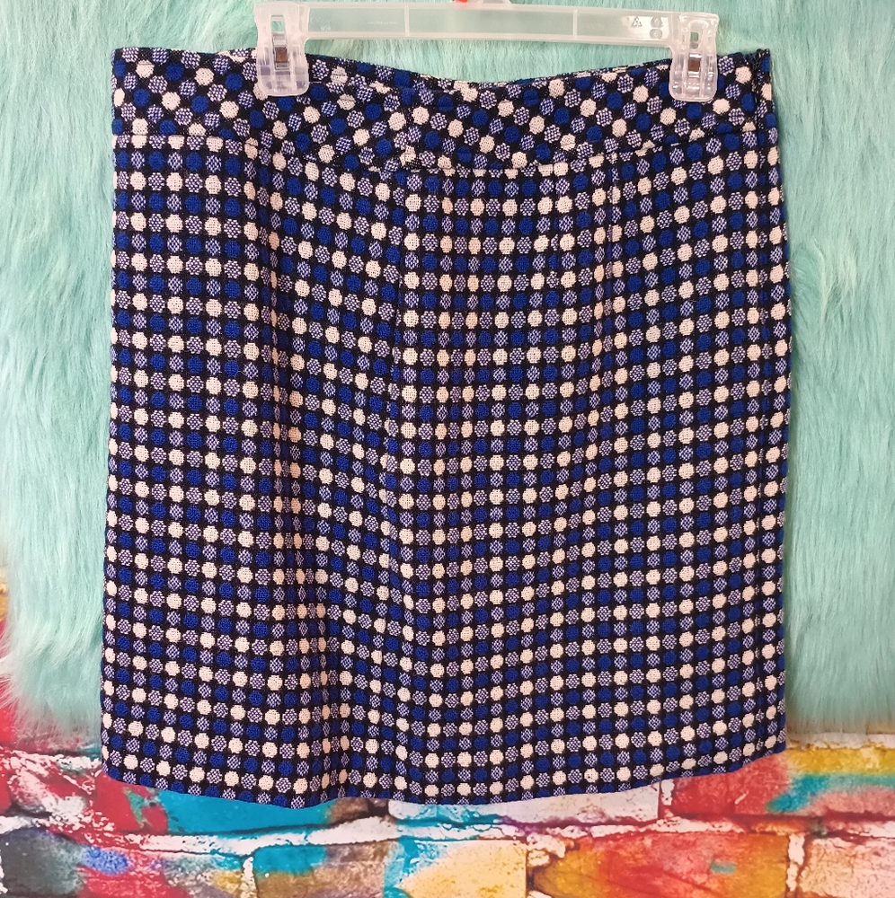 Talbots Blue and White Polka Dots Skirt Size 12P